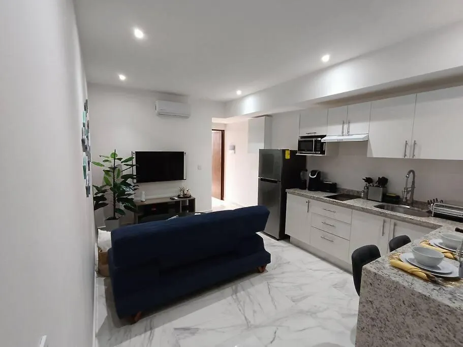 Depto Moderno 1Br Gimnasio Sauna Jacuzzi Y Piscina Rooftop Playa del Carmen